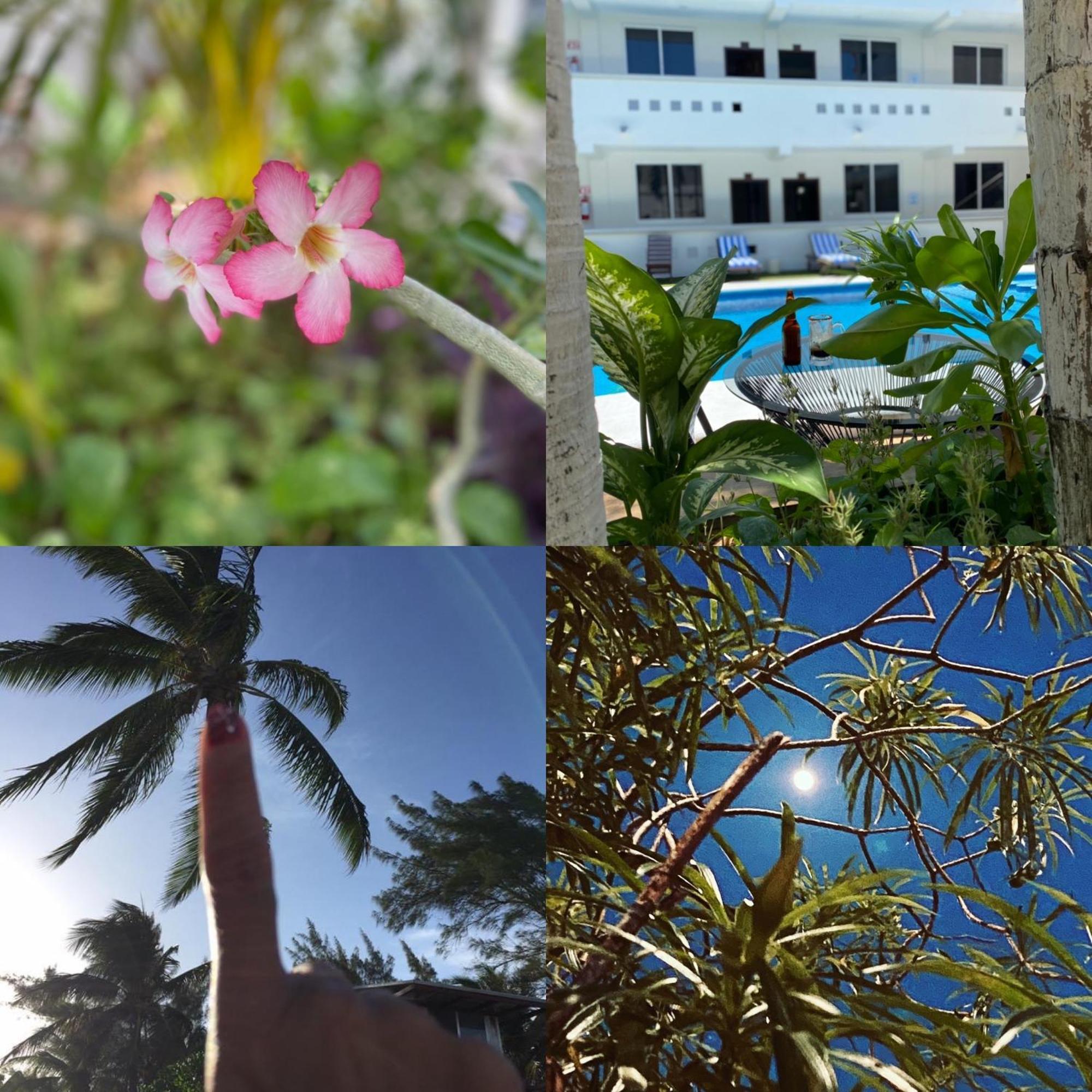Hotel Balxiba Playa del Carmen Bagian luar foto